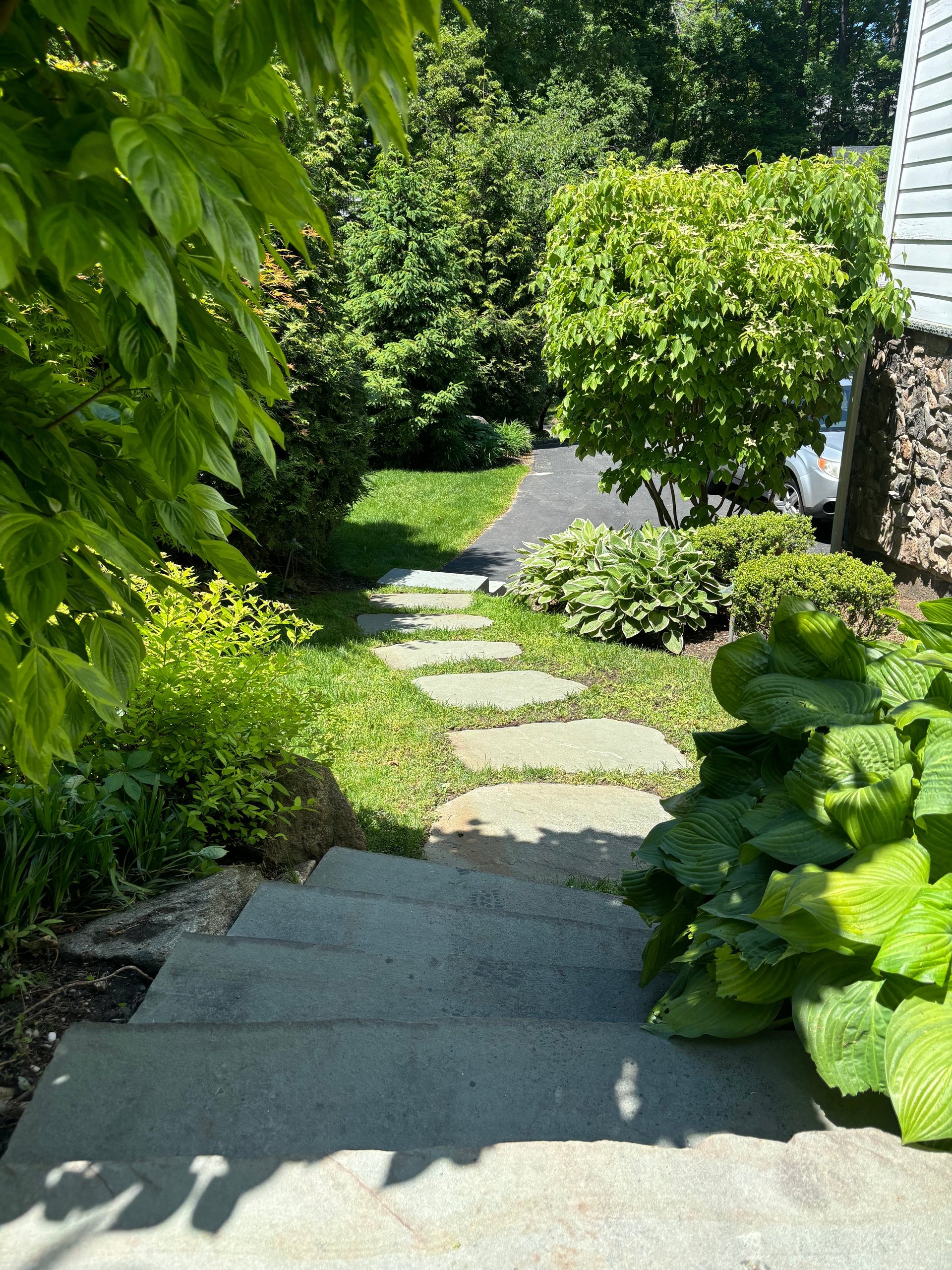 Stone stepping stone pathway winds through lush green garden with shrubs and trees lining both sides